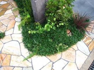 植栽仕上げ