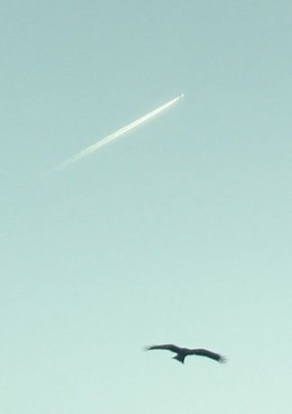 空