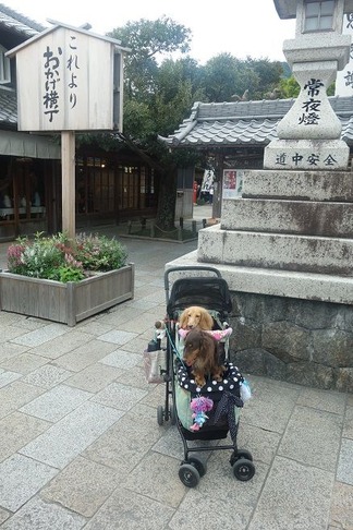 これよりおかげ横丁
