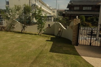コウライ芝