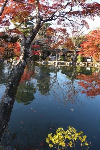 円山公園