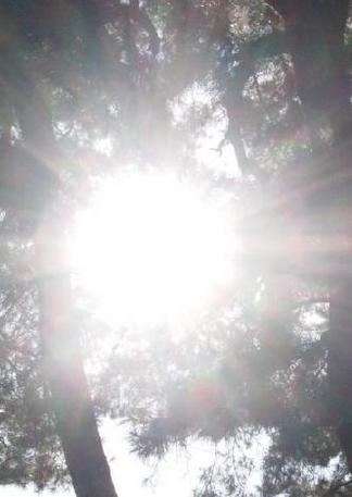 太陽