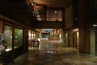 花水木