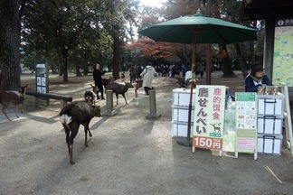 奈良公園