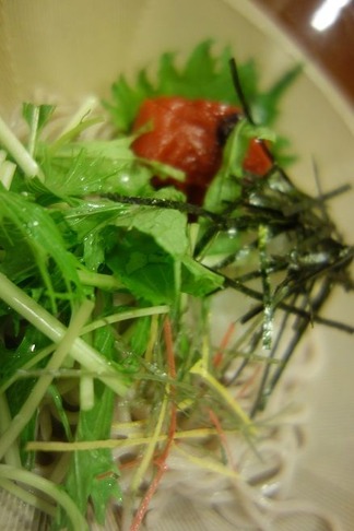 梅おろし蕎麦