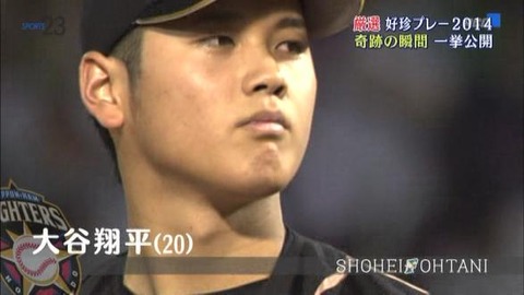   プロ野球 好珍プレー集2014