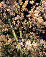 050407-214402.jpg
