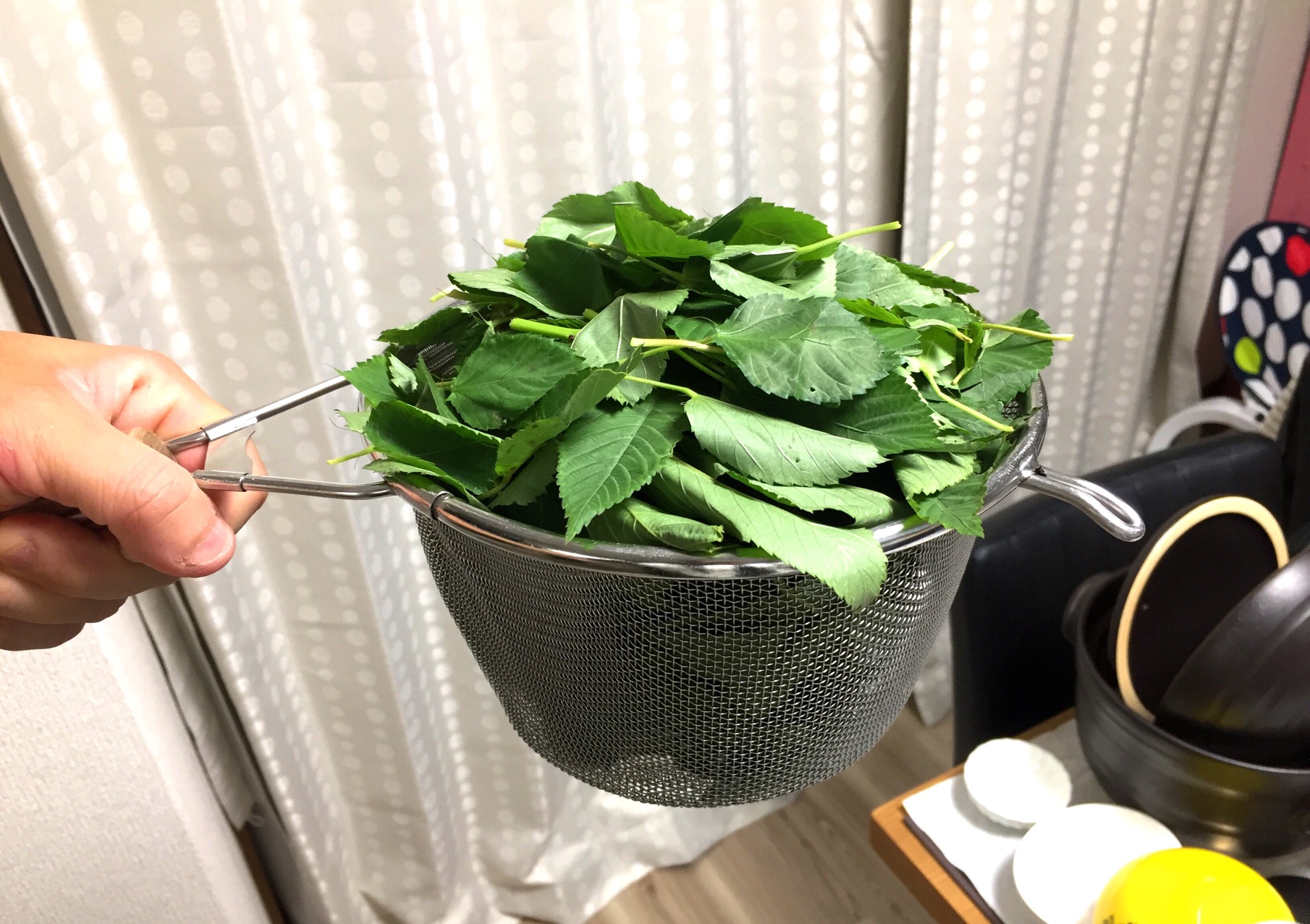 クリックで拡大(撮影:中野龍三)。