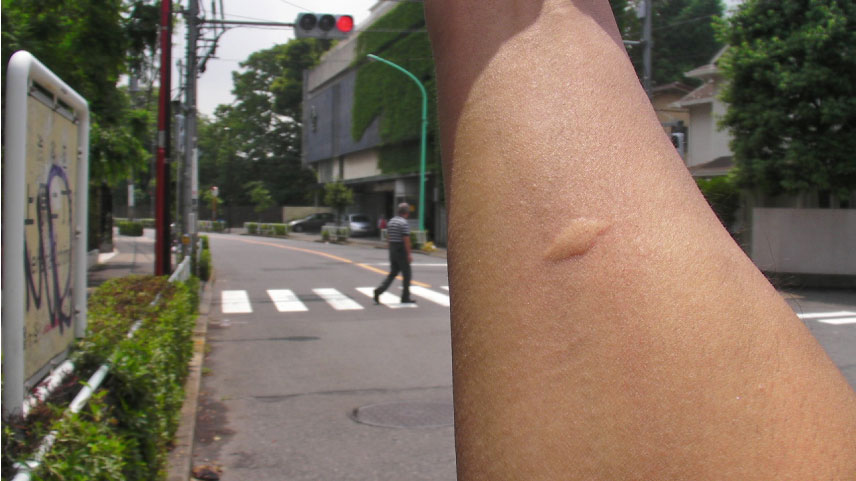 クリックで拡大。