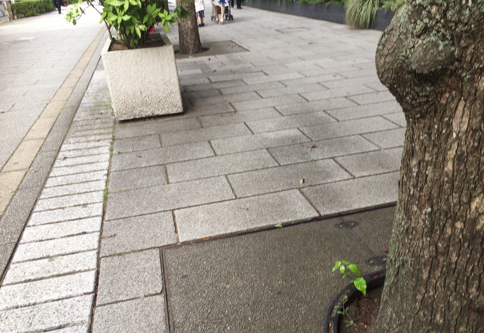クリックで拡大(撮影:中野龍三)。
