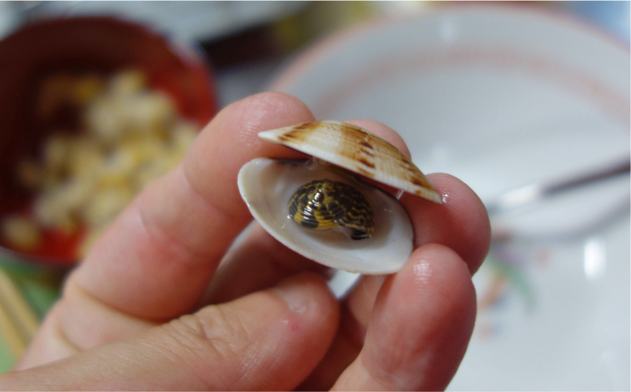 クリックで拡大(撮影:中野龍三)。