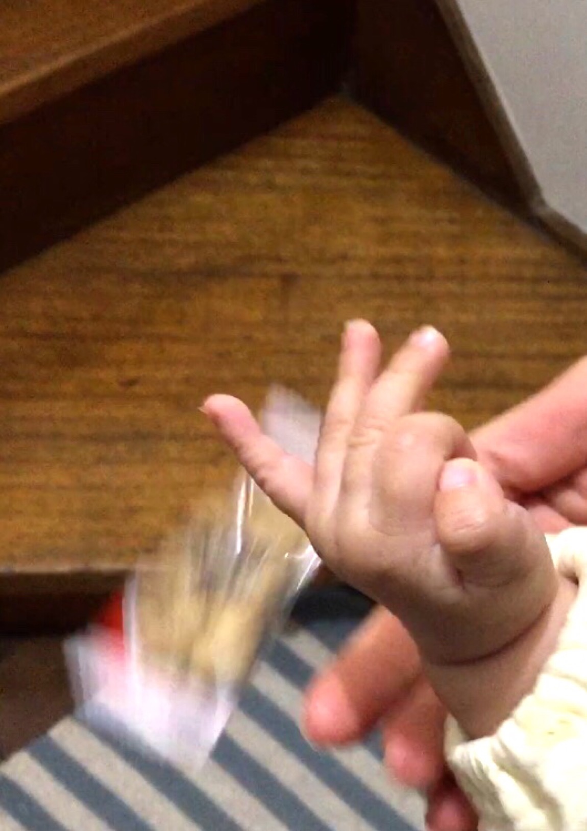 クリックで拡大(撮影:中野龍三)。
