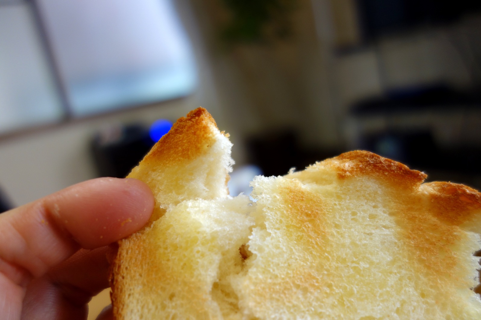 クリックで拡大(撮影:中野龍三)。