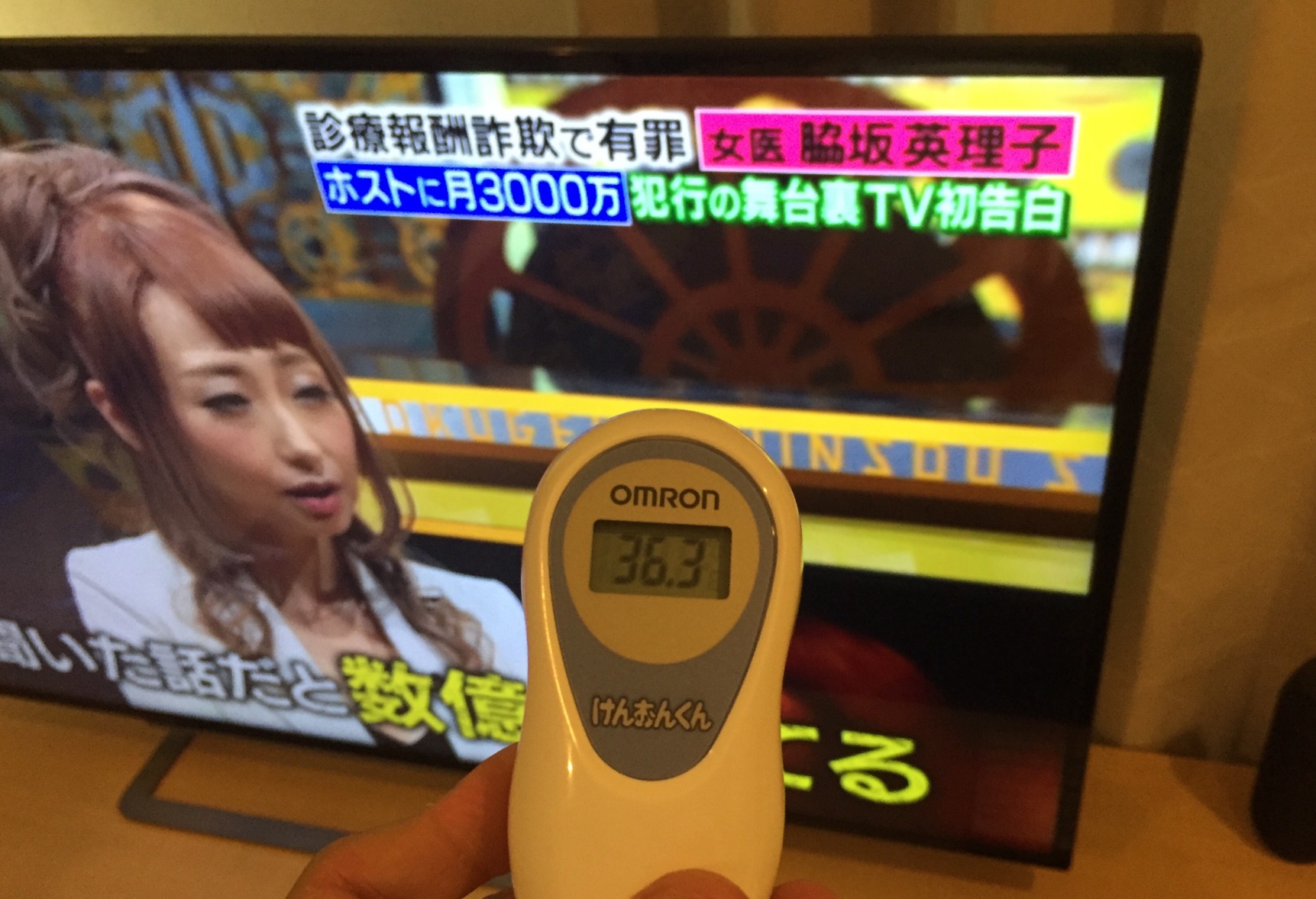 クリックで拡大(撮影:中野龍三)。