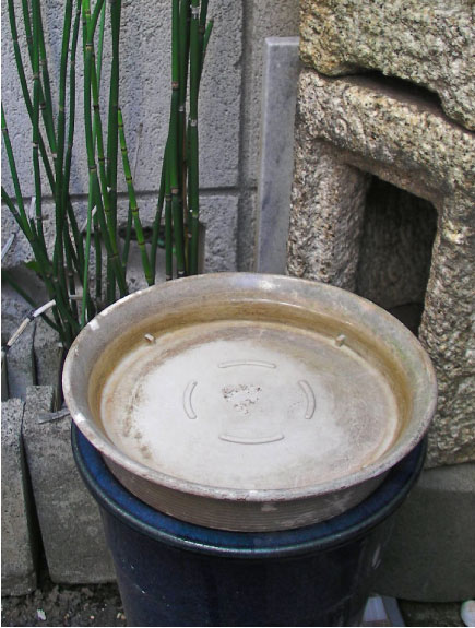 クリックで拡大。