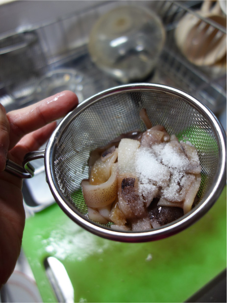 クリックで拡大(撮影:中野龍三)。