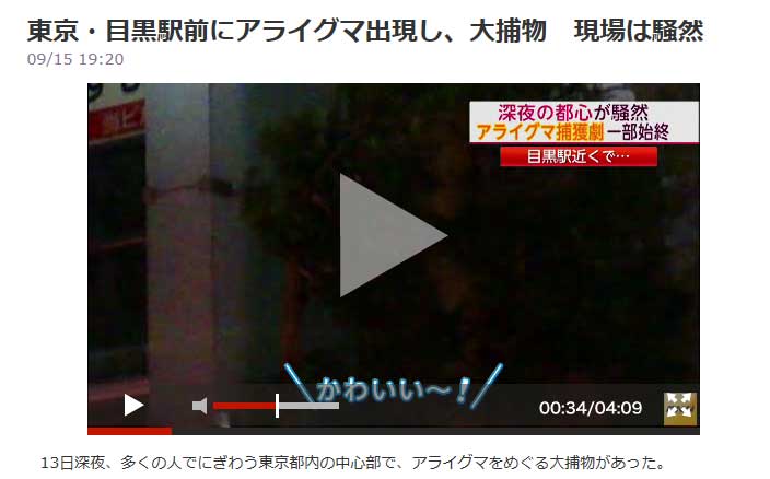 クリックで拡大。