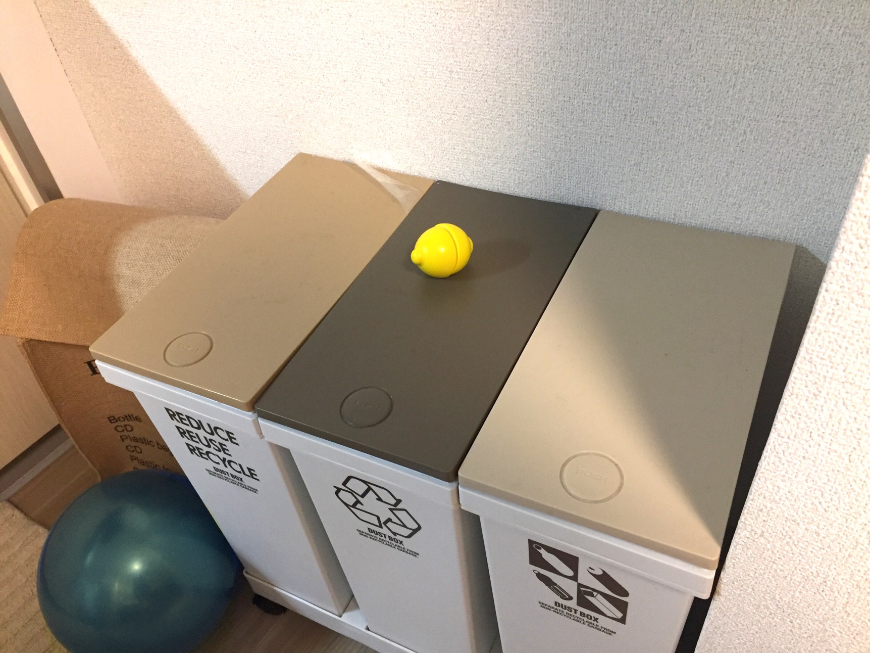 クリックで拡大(撮影:中野龍三)。