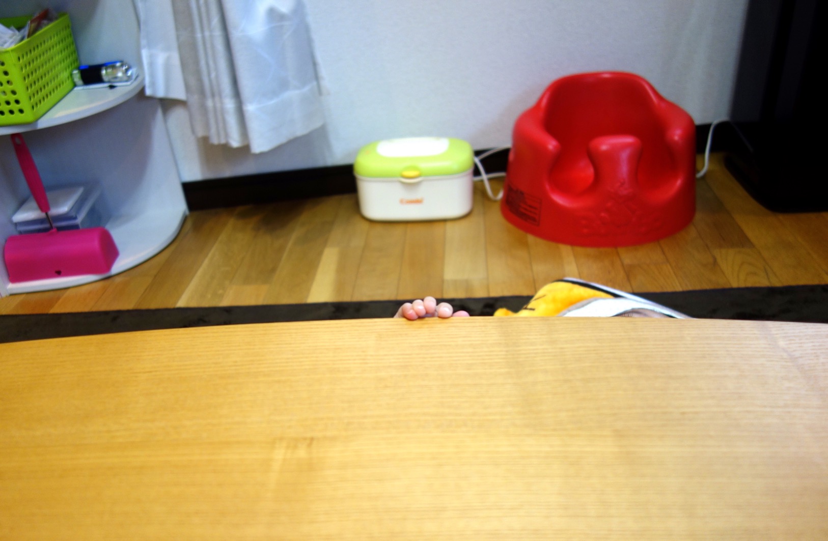 クリックで拡大(撮影:中野龍三)。