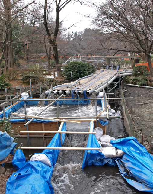 クリックで拡大。