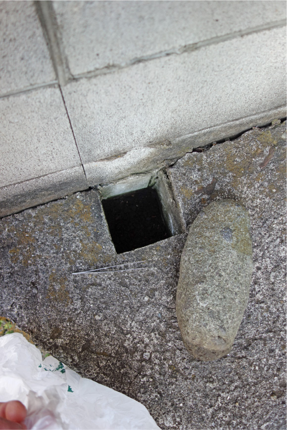 クリックで拡大。