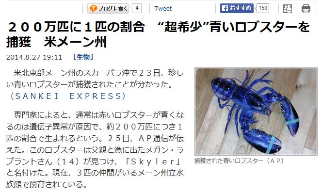 クリックで拡大。