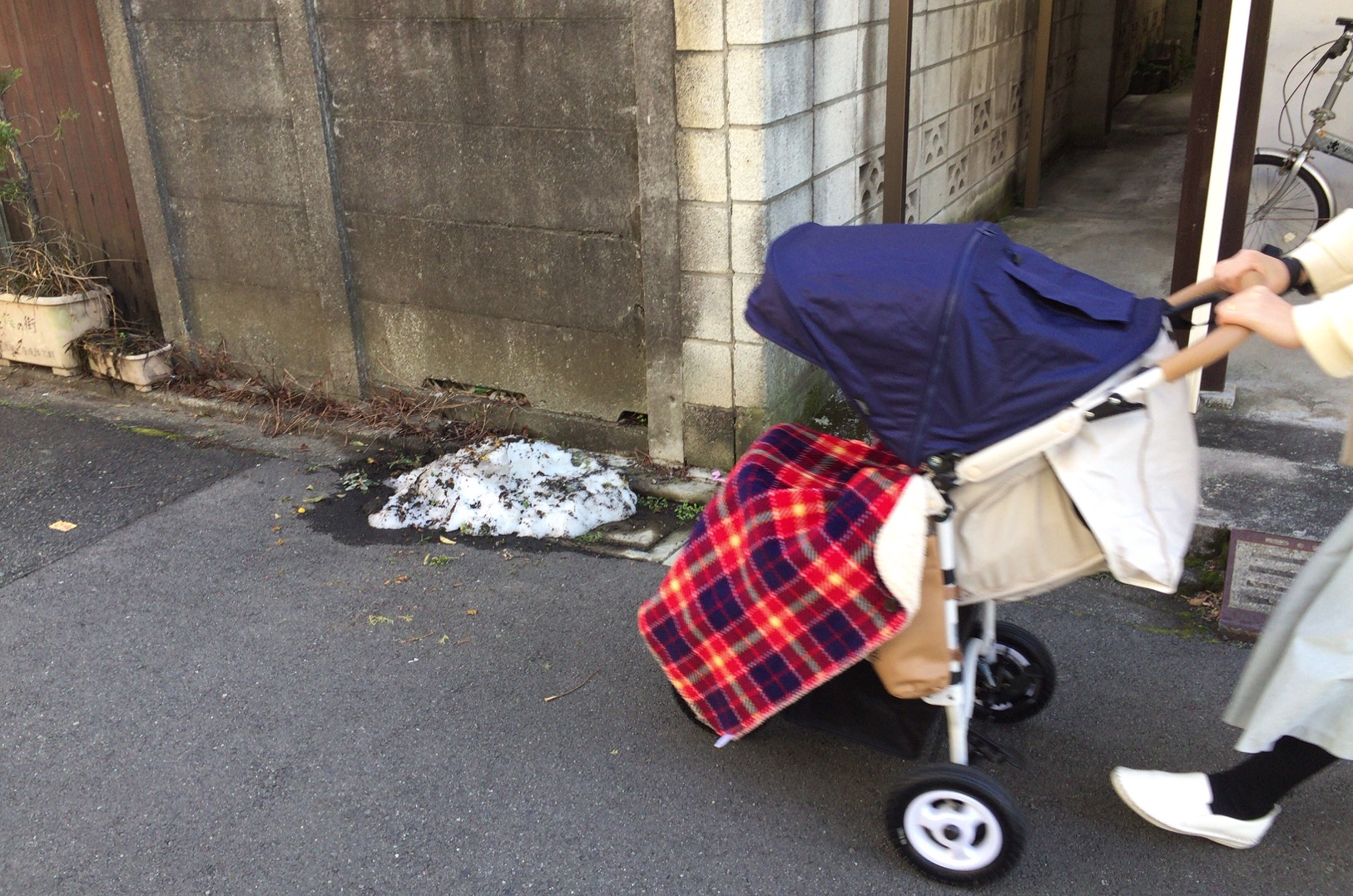 クリックで拡大(撮影:中野龍三)。