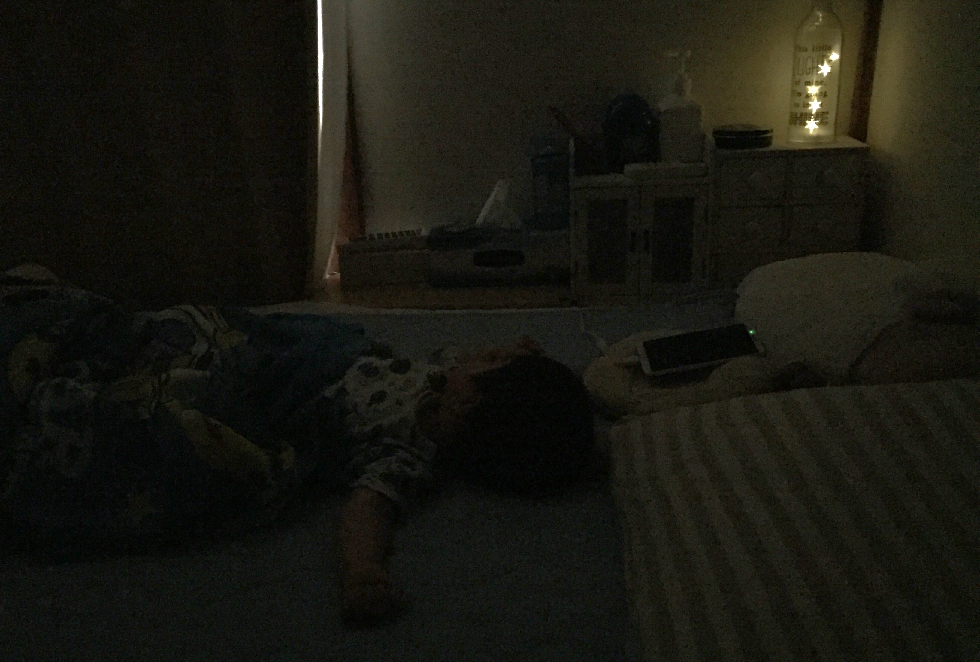 クリックで拡大(撮影:中野龍三)。