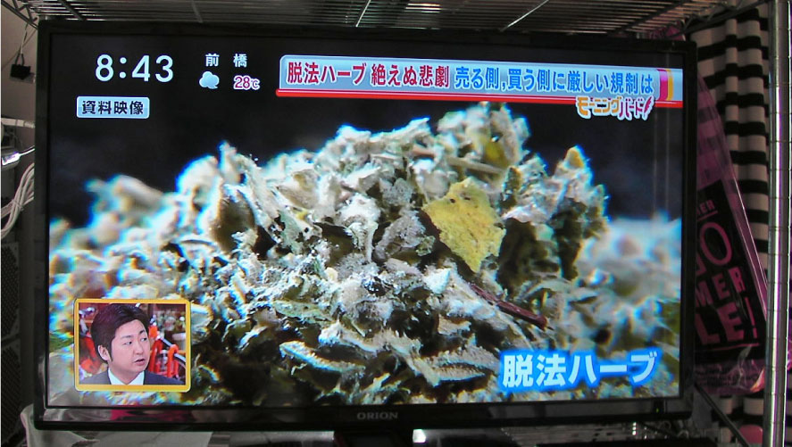 クリックで拡大。