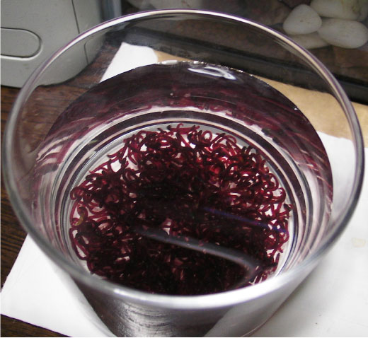 akamusi-esayari-1