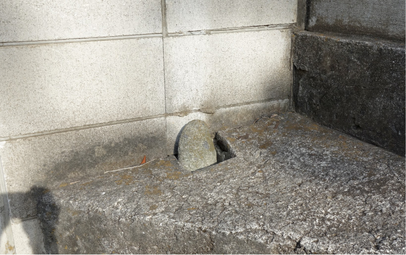 クリックで拡大。