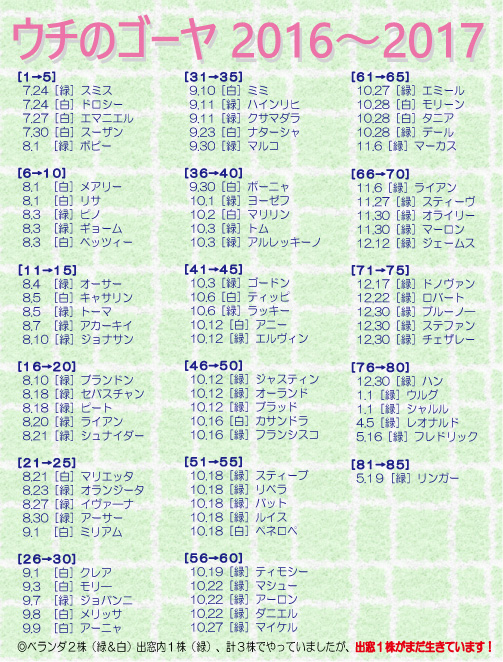 クリックで拡大。