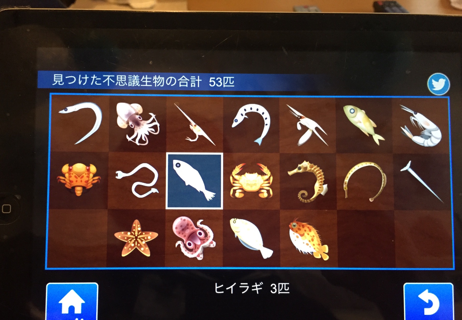 クリックで拡大(撮影:中野龍三)。