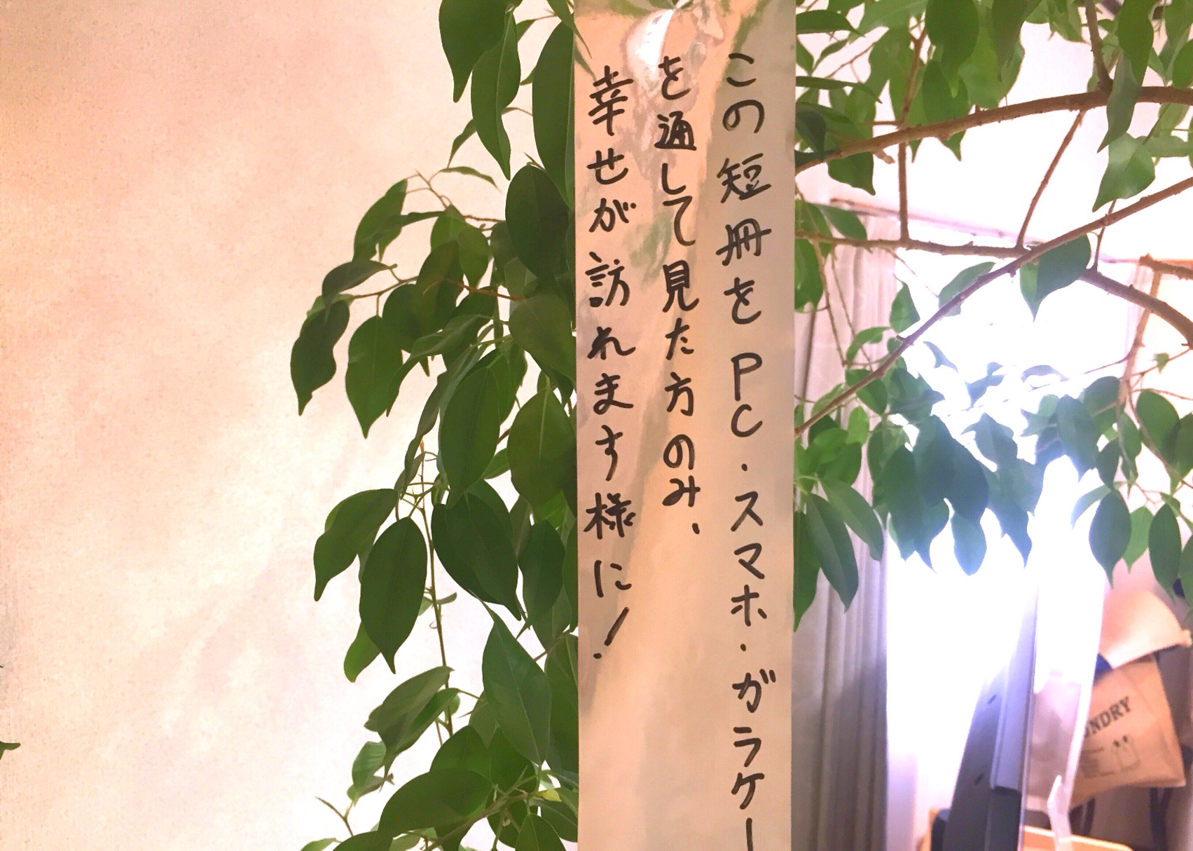 クリックで拡大(撮影:中野龍三)。