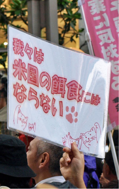 クリックで拡大。