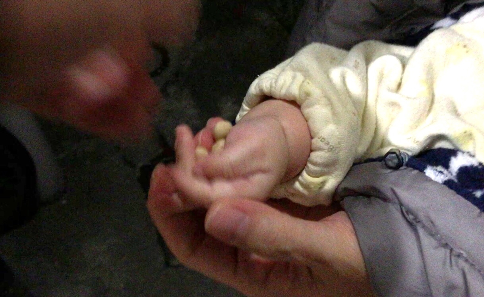 クリックで拡大(撮影:中野龍三)。