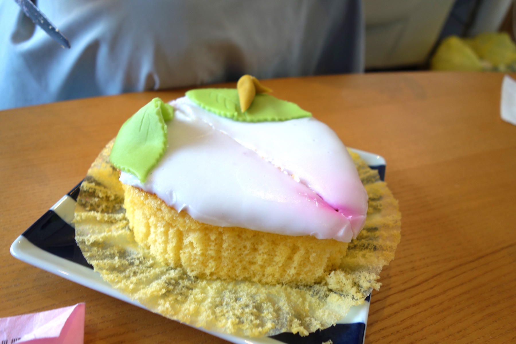 クリックで拡大(撮影:中野龍三)。