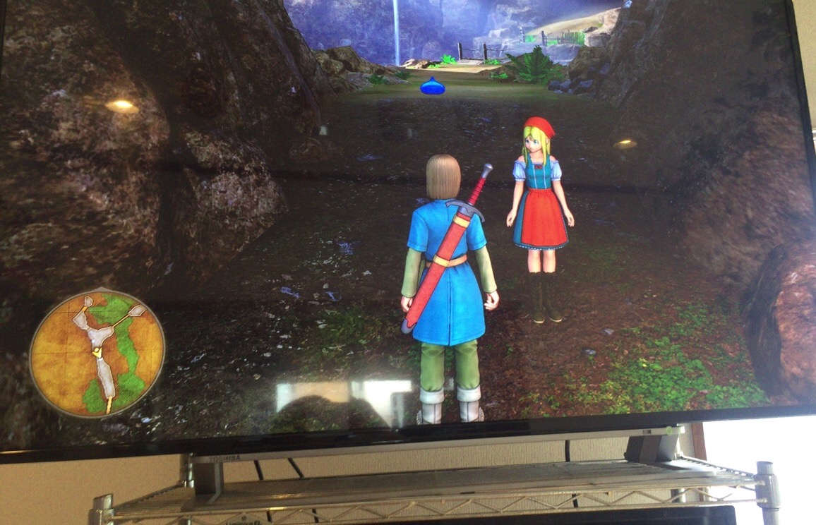 クリックで拡大(撮影:中野龍三)。