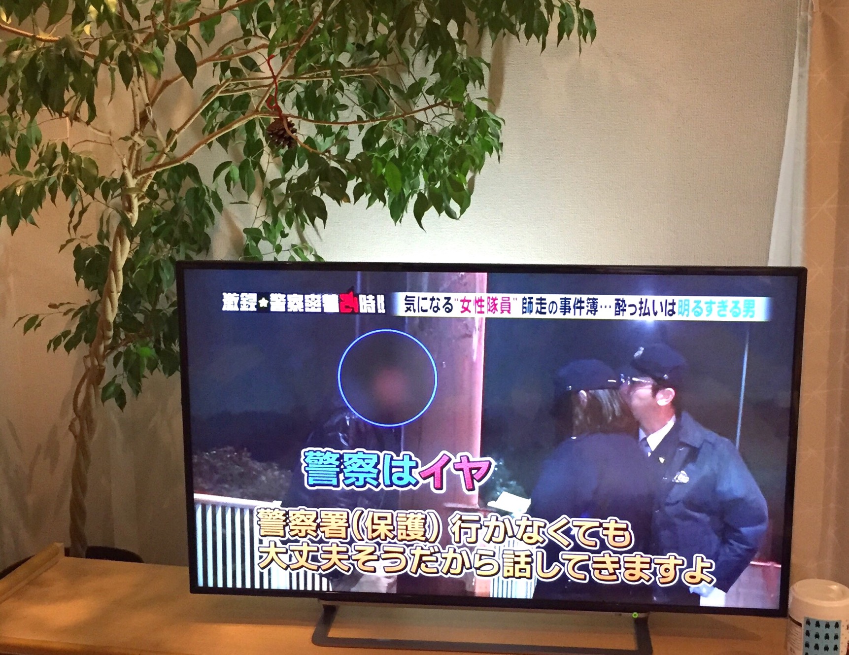 クリックで拡大(撮影:中野龍三)。