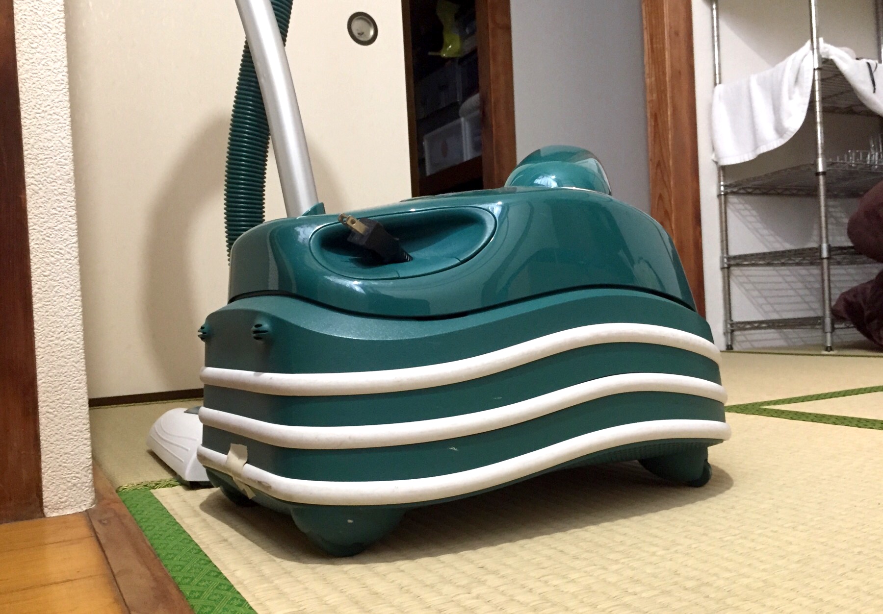 クリックで拡大(撮影:中野龍三)。