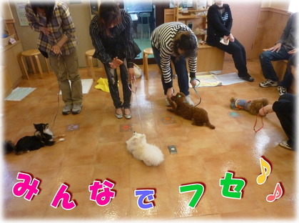みんなでフセ♪