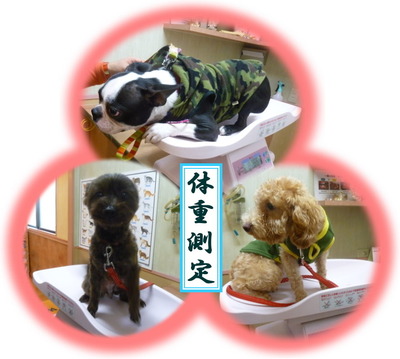体重測定