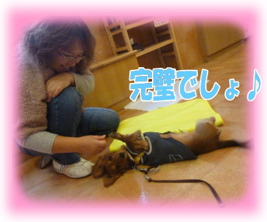 ボンくんゴロン練習②