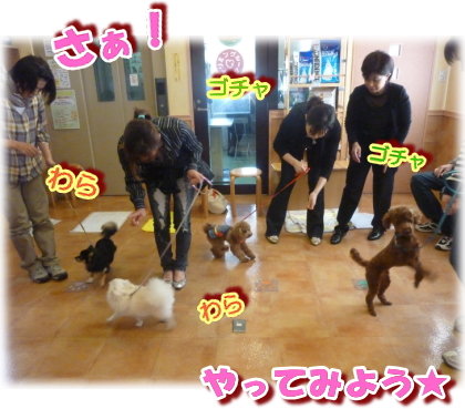 バラバラだったのが・・・