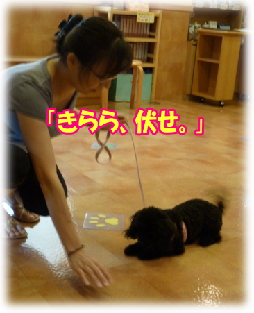 3c81fb8f.jpg