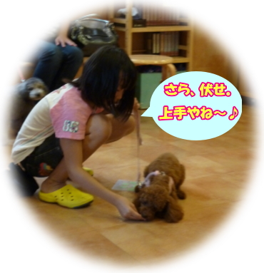 63b4d023.jpg