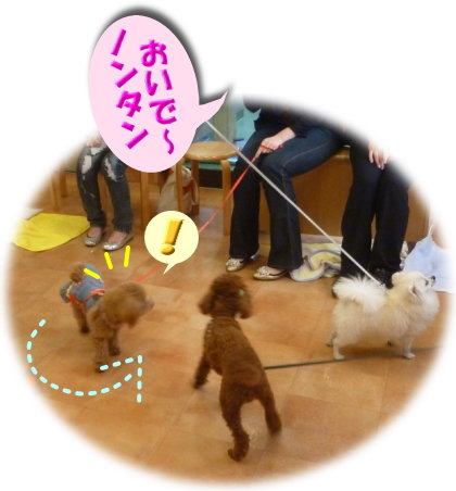 ノンタンちゃん・呼び戻し