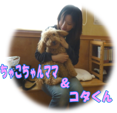 ちゃこちゃんママにコタくん抱っこ