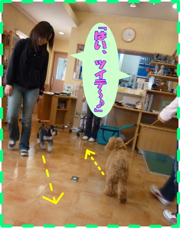 同時に「ツイテ」