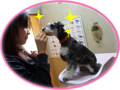 ちゃこちゃん体重測定